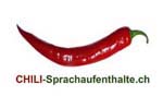  Sprachaufenthalte